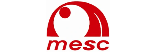 Modern Executive Systems Contracting Mesc L.L.C