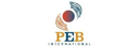 Peb International Technical Services L.L.C
