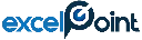 Excel Point Consultancy Company