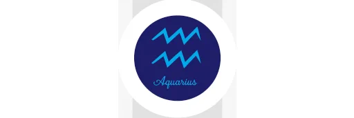 Aquarius Contracting L.L.C