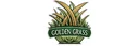 Golden Grass Landscape